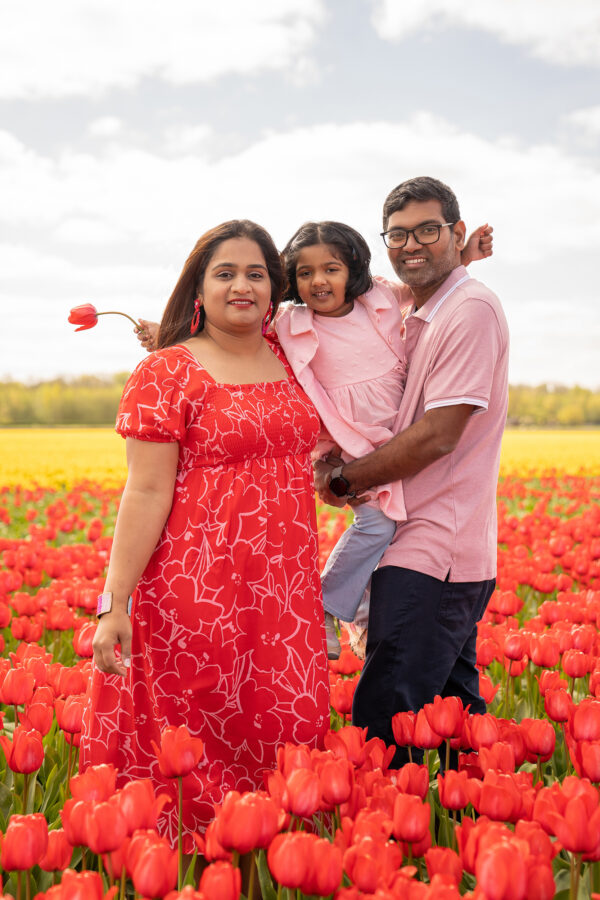 An Indian family of 3 happy surrounded by red tulip fields.