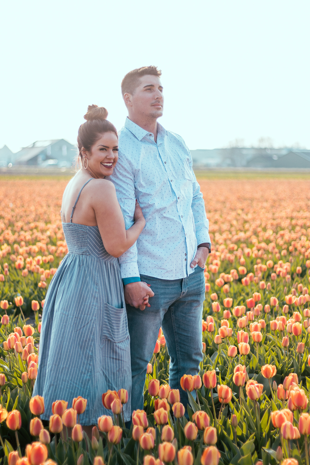 A couple hugging with orange tulip fields as a background.