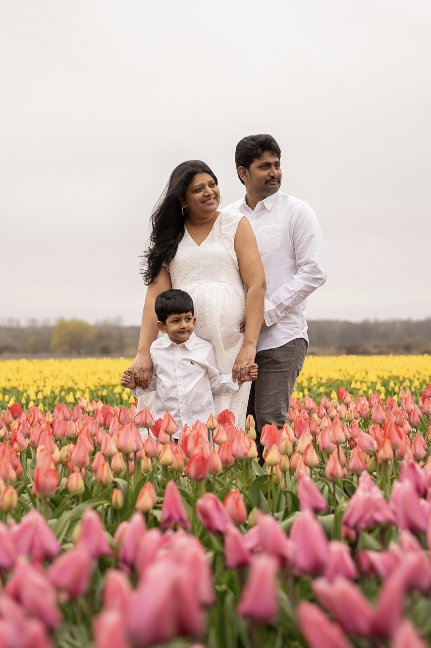 Indian family getting professional pictures taken among the colorful tulip fields.