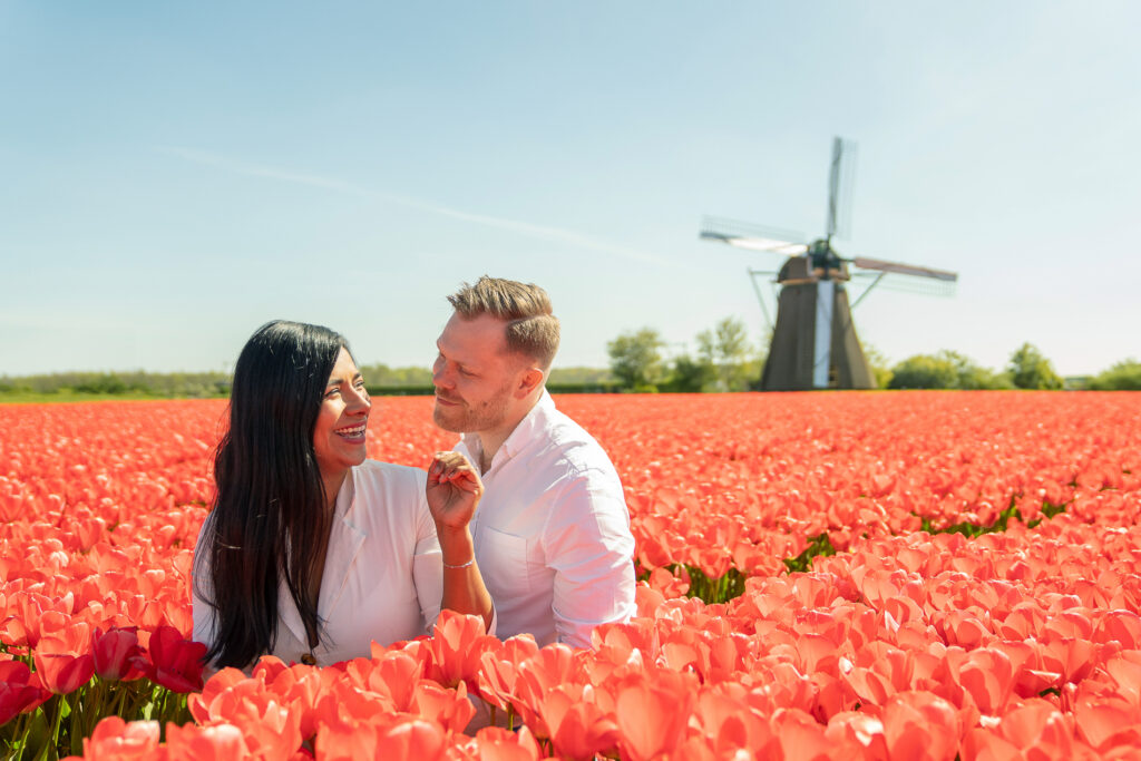 A couple celebrates their love during a photoshoot in Lisse with tulip fields and a windmill as backdrops.