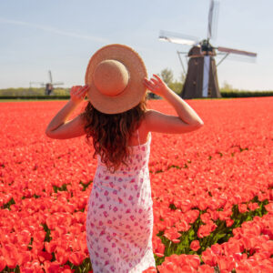 Tulip field photo idea of a girl standing in a dress with a hat in red tulip fields with a Windmill as backdrop.