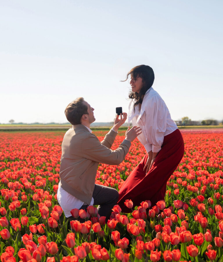 Surprise proposal in a tulip field near Amsterdam