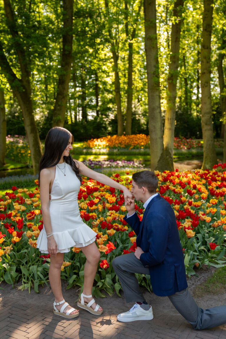 Surprise proposal in a tulip field near Amsterdam